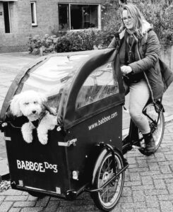 Hondenuitlaatservice regio Voorburg, Leidschendam en Den Haag, Nessiej's Walk And Sit.