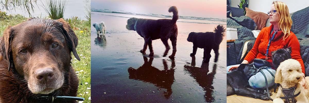 Hondenuitlaatservice regio Voorburg, Leidschendam en Den Haag, Nessiej's Walk And Sit.